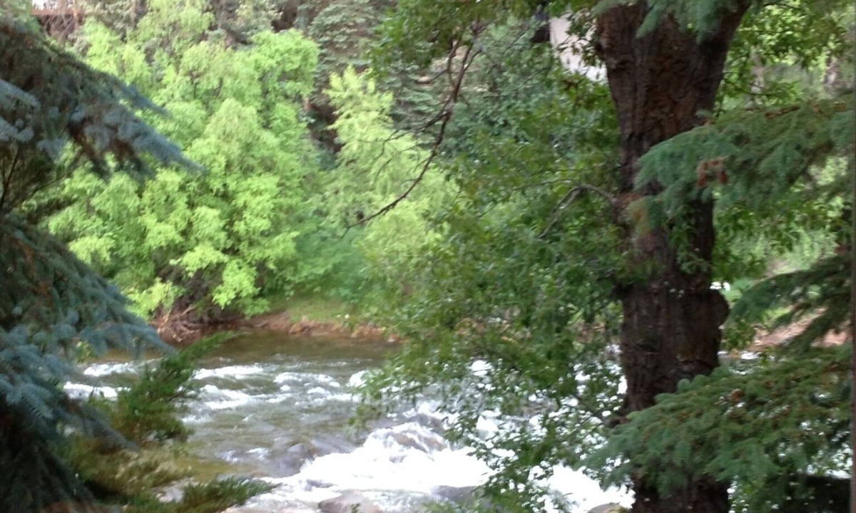 Avon House | 5BR, 4 1/2 BA Dog friendly retreat. Close to Beaver Creek. On Eagle River