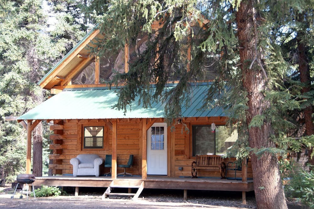 Lake City Cabin | Authentic Log Cabin Rental with Wood from the San Juan Forest near Lake City Ski Hill, Colorado