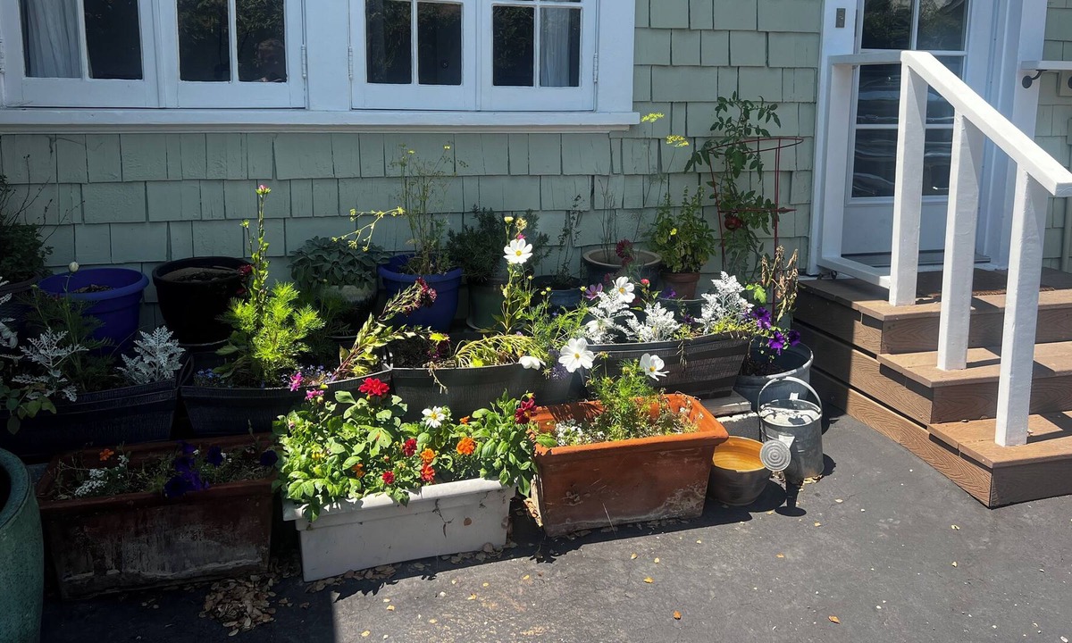 Oak Park Cottage | Beautiful Downtown Fully Furnished Executive Cottage