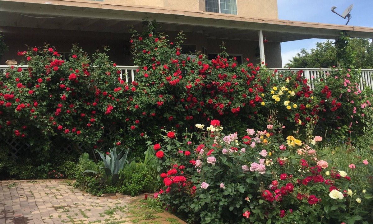 Canyon Lake House | Canyon Lake CA gated City CozyTwo bedroom ,two bath Home with beautiful garden