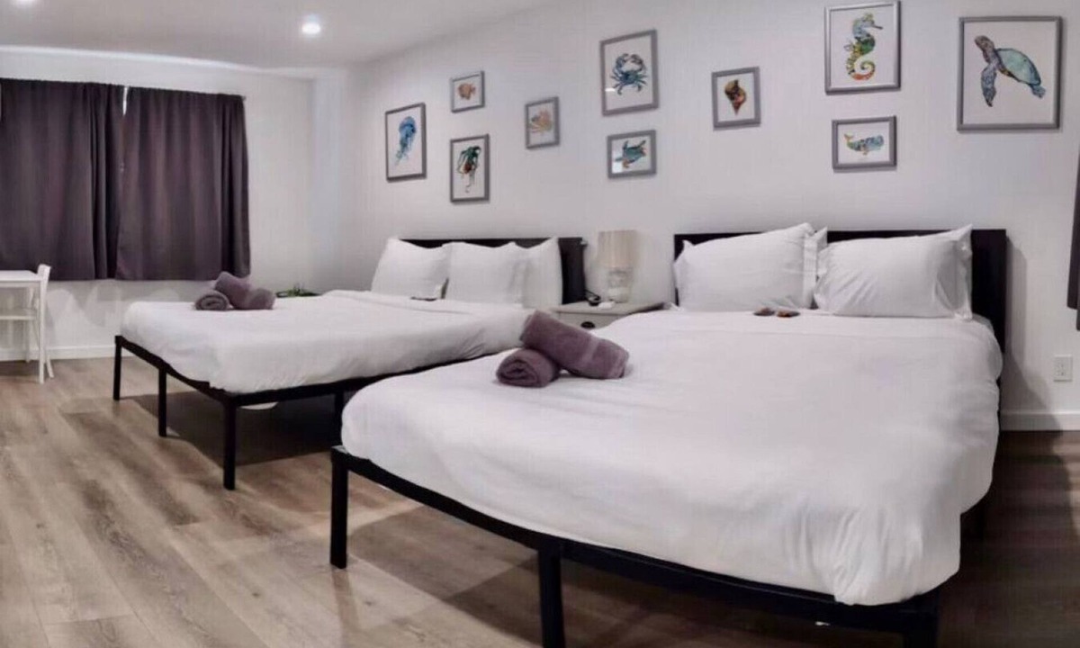 Downtown Hollywood Apartment | Charming DBL w/pool& parking 15 min to FLL & Beach