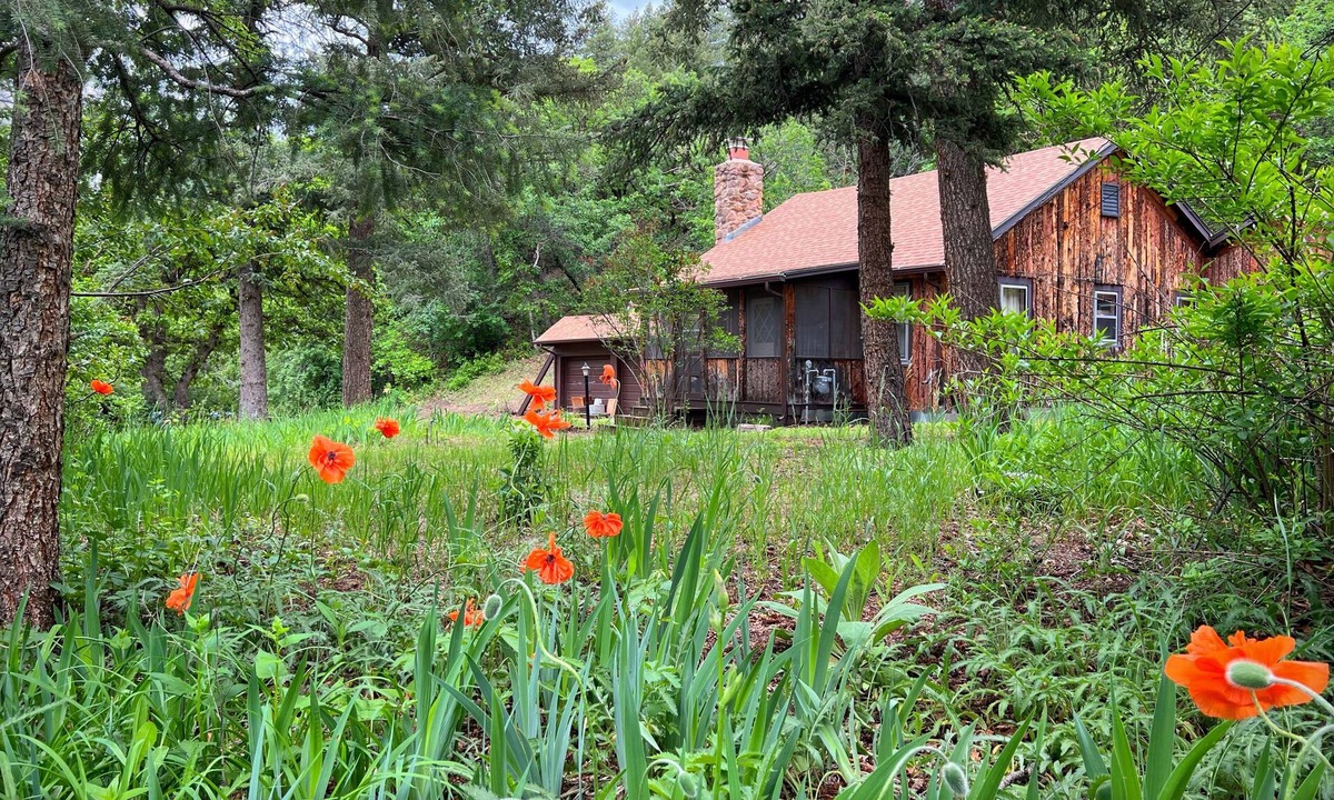 Skyway House | Cozy river front 3 bedroom Colorado cabin