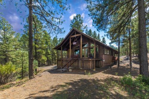 Pagosa Springs House | Crestview Cabin in Pagosa Springs