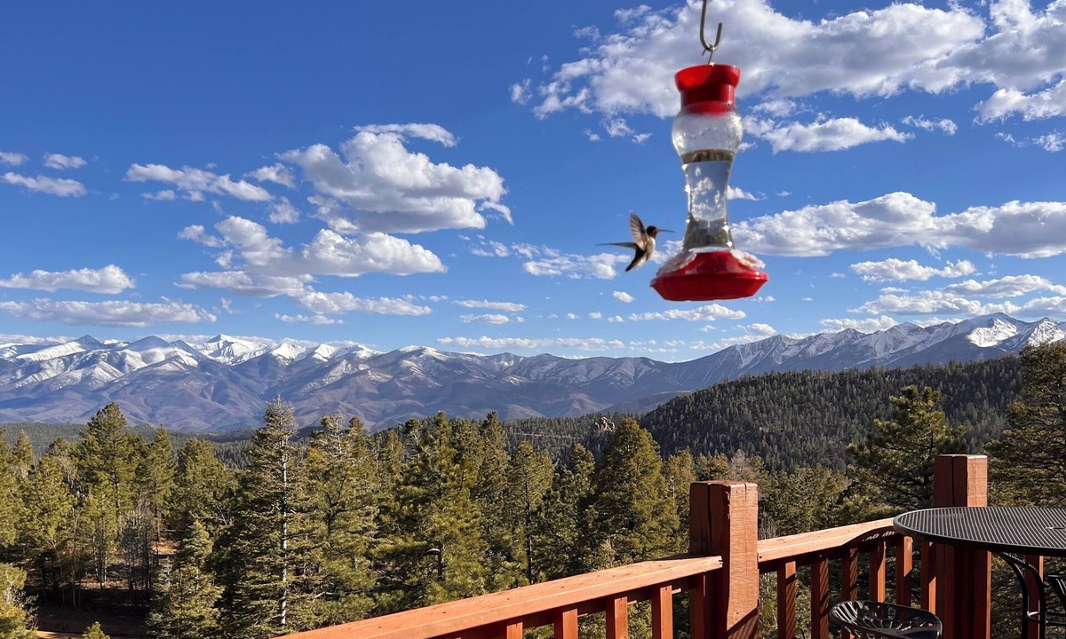 Howard Cabin | Eagle Vista - free additional night!