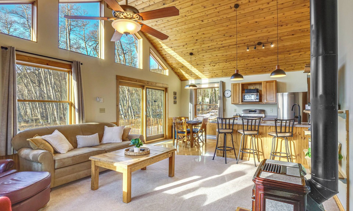 Warm Springs Cabin | Fairplay Cabin | Mountain Views, Trails, Fishing