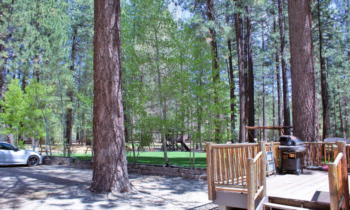 Big Bear Lake Hotel | Goldmine Lodge