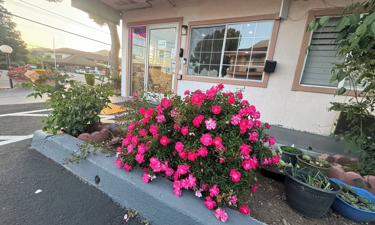 Morgan Hill Hotel | Morganhill Inn Motel