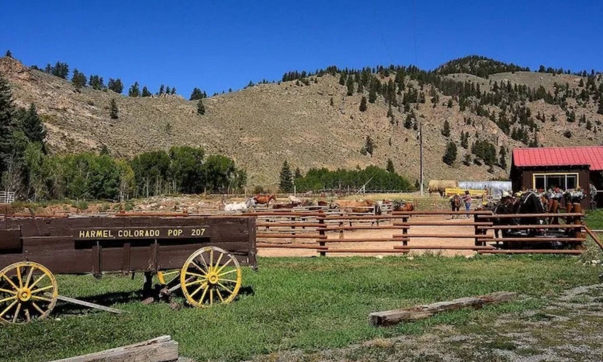 Almont House | Mountain Escape: Fish, Raft & Ride Horses at Your Doorstep in Colorado
