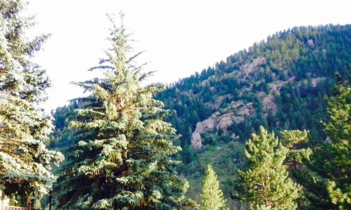 Drake House | Mountain Escape Near RMNP, Views, River Access, Dogs OK