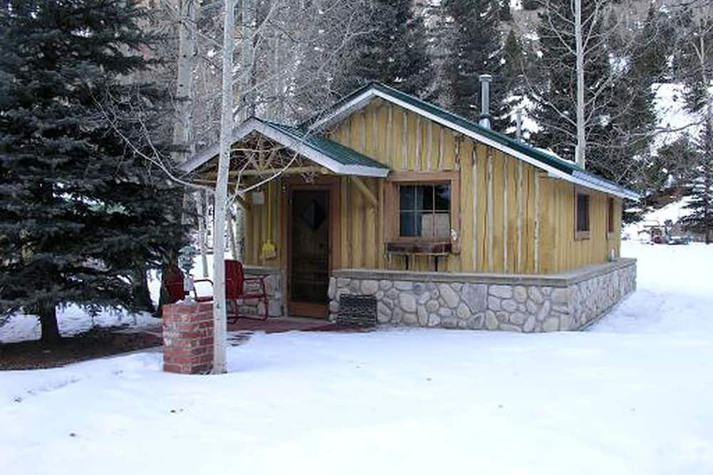 Lake City Cabin | Mountain Log Cabin Rental for a Couples' Getaway to Lake City, Colorado