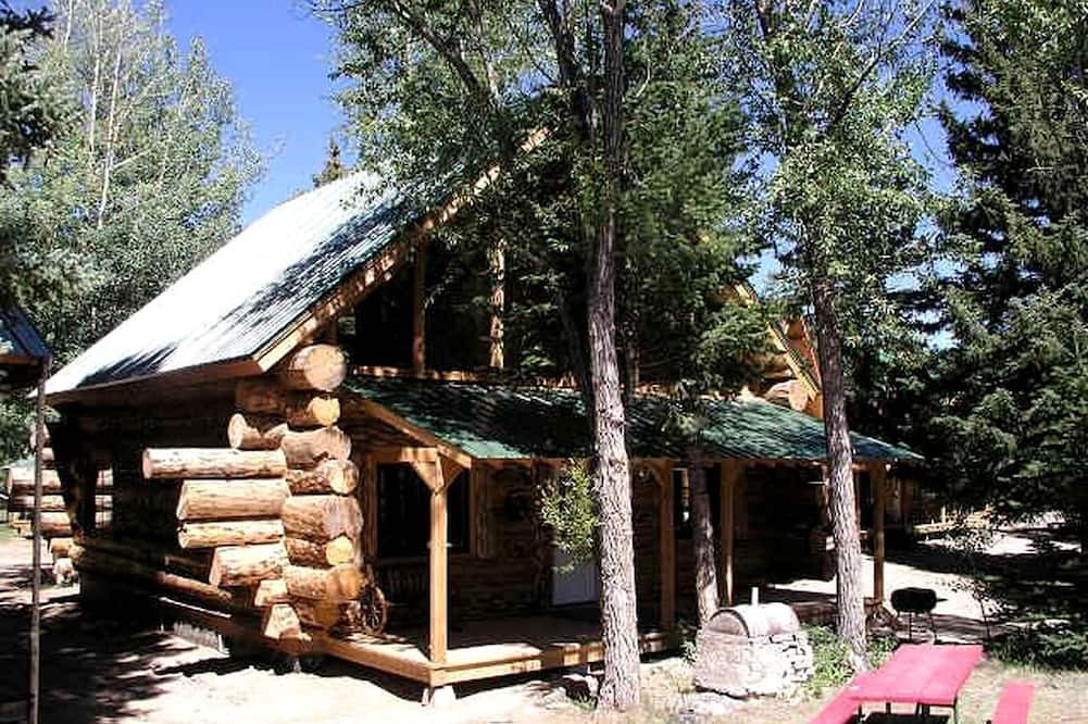 Lake City Cabin | Mountain Log Cabin Rental for a Family Getaway near Powderhorn, Colorado