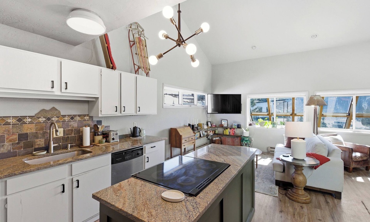 Crested Butte Condo | Mountain Retreat Pet Friendly Condo in Mt. Crested Butte