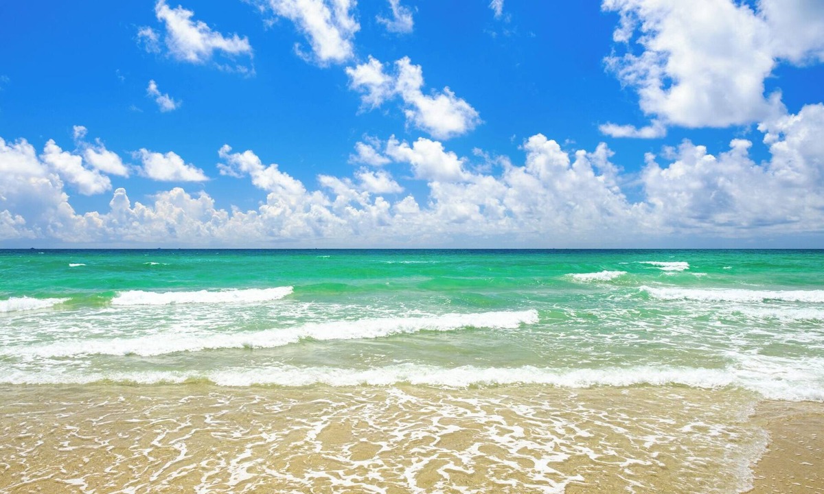 Hollywood South Central Beach Resort | Oceanfront Enchanted Isle Resort 1 BR sleeps 4