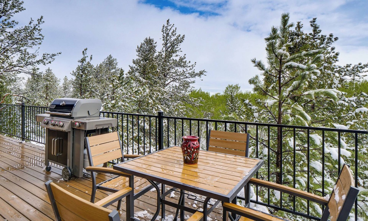 Park County Cabin | On 5 Wooded Acres! Quiet Cabin in Hartsel