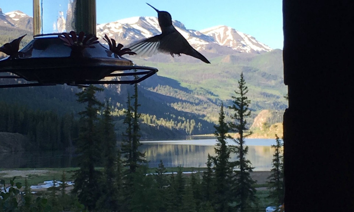 Lake City Condo | OPEN YEAR ROUND - 3 Bedroom Lake San Cristobal Condo on the Alpine Loop