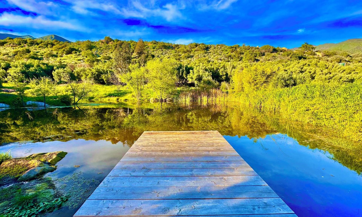 Ojai House | Paradise in Ojai - Amazing property with private lake, spa amenities, and more.