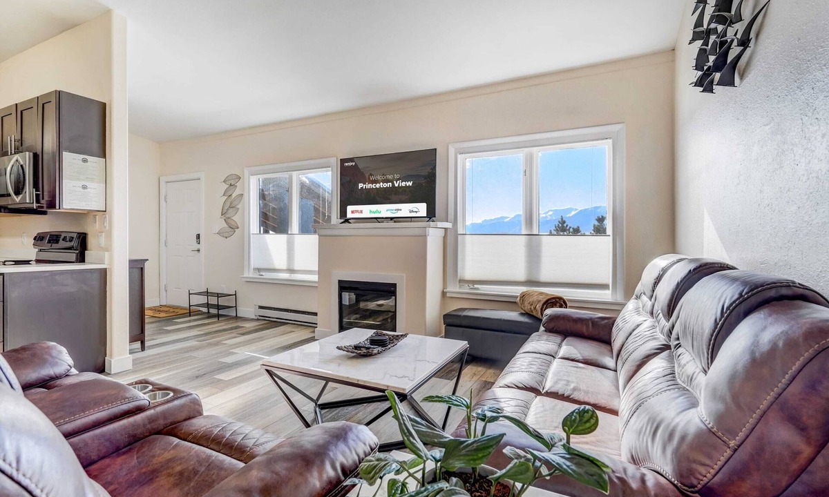 Buena Vista Condo | Princeton View! Posh Downtown King Workspace!