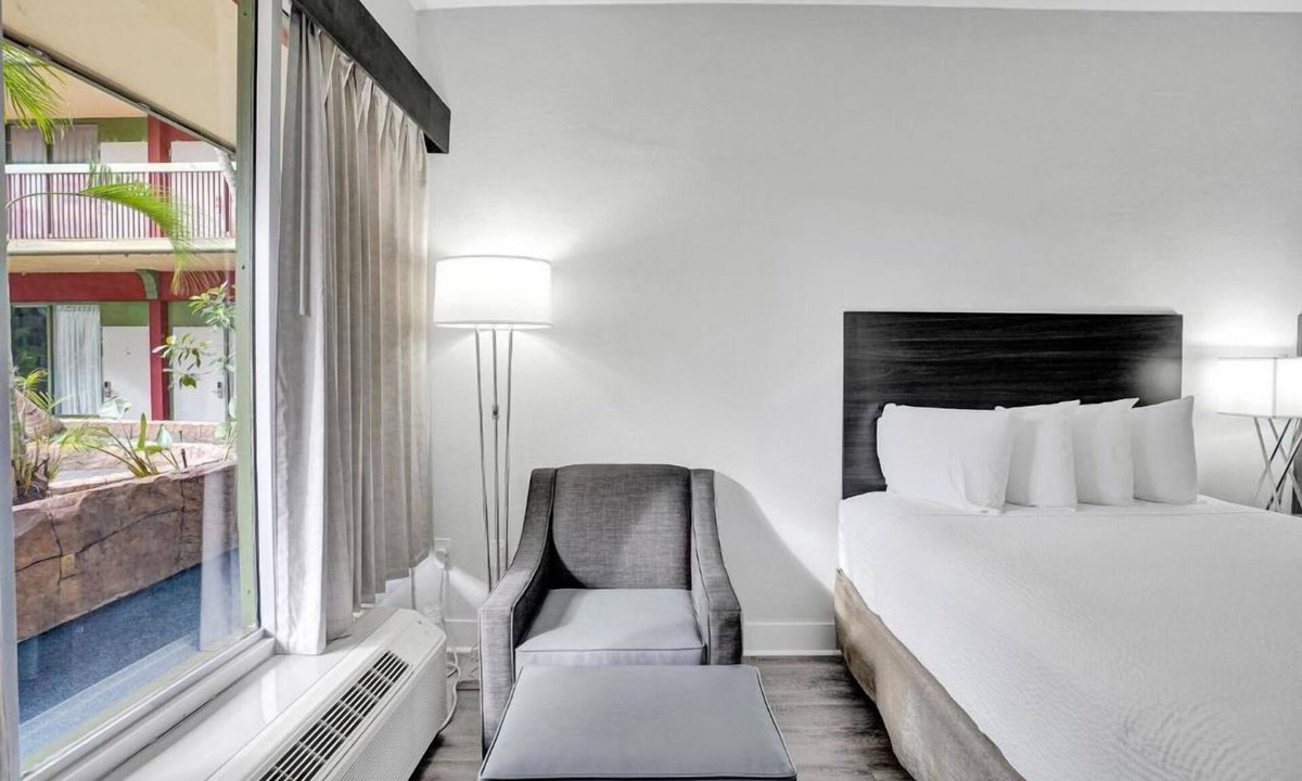 Downtown Hollywood Hotel | Relaxing Stay Near Hollywood Beach with Swimming Pool & Free Breakfast