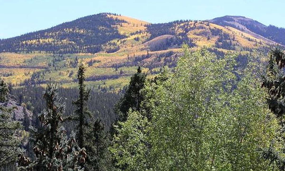 Lake City Cabin | Romantic Cabin Rental with a Beautiful Log Interior near Cathedral, Colorado