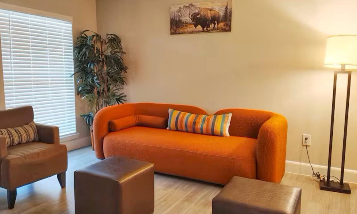 Astrodome Apartment | Rust King 2Bed 2Bath/By TMC/5 min walk to NRG