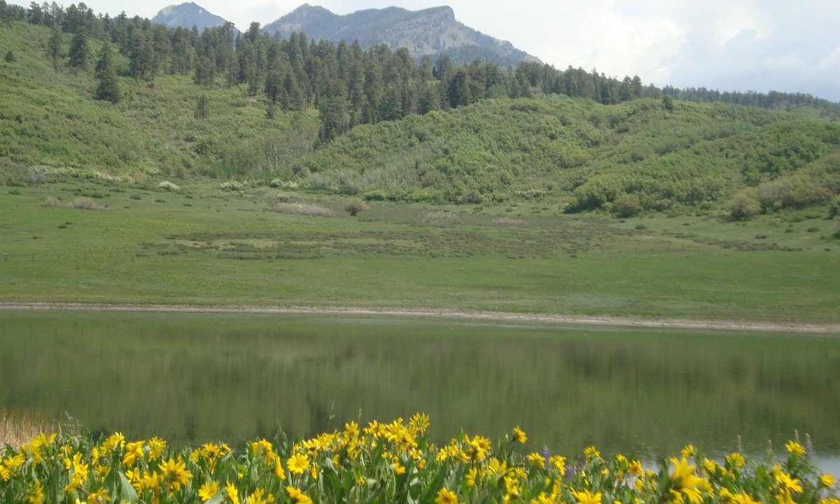 Pagosa Springs House | Secluded Mountain Retreat With Pond Bordering National Forest!