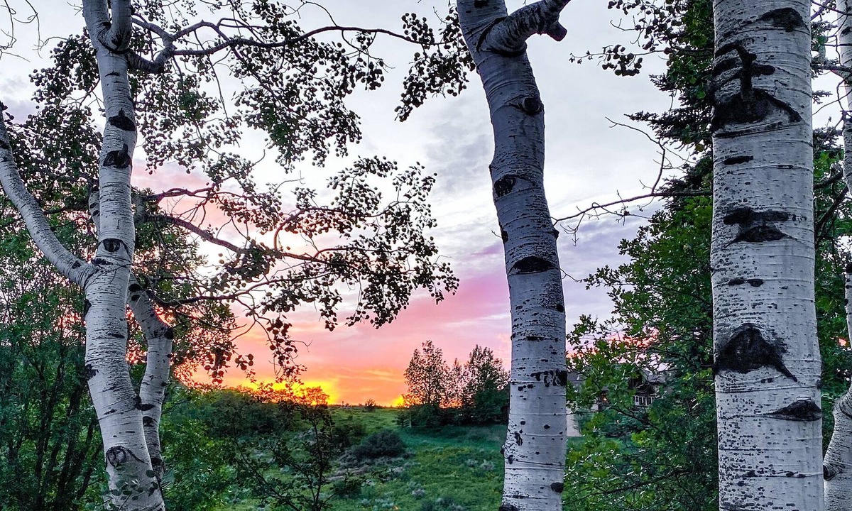 Oak Creek House | Skiing, Fishing, Hiking this log home is the perfect location to create memories