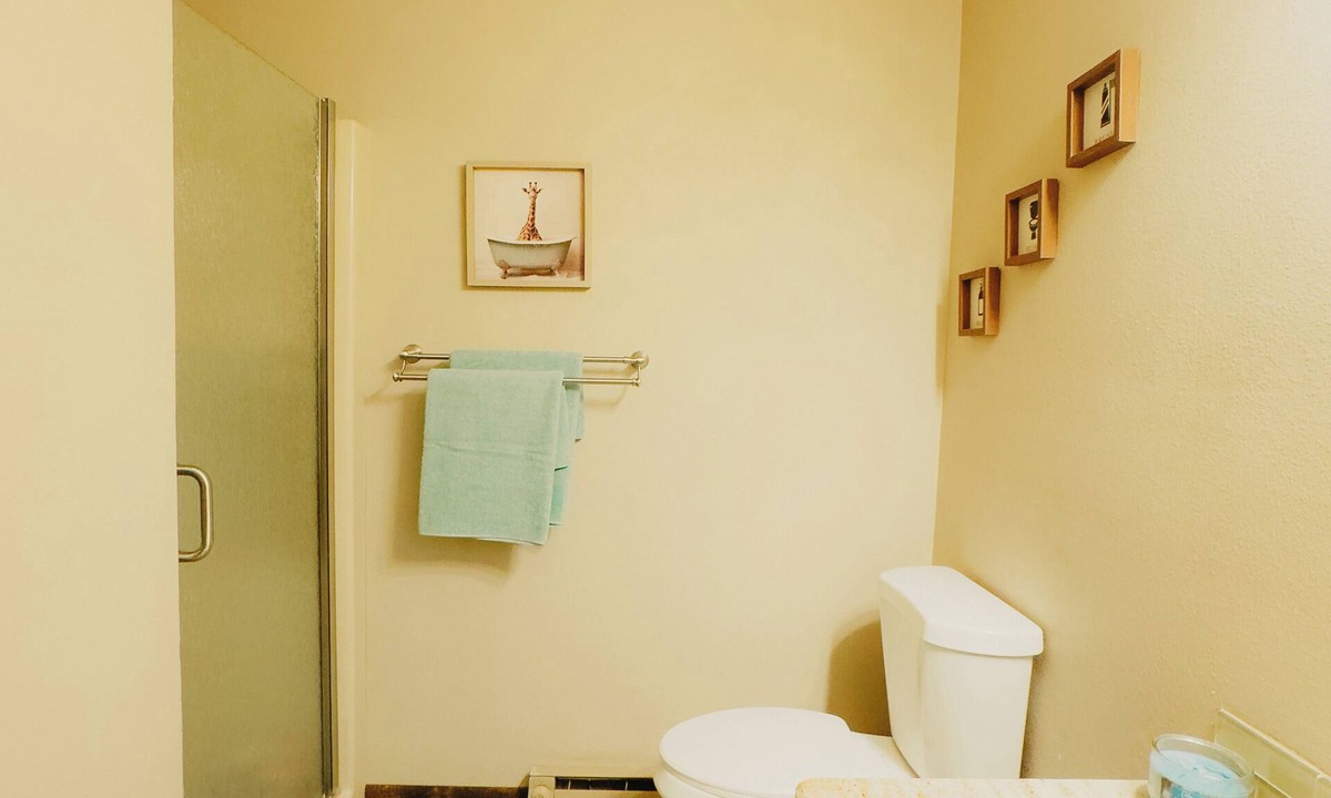 Divide House | Sunrise Ridge SwimSpa Pikes Peak Views Sleeps 10