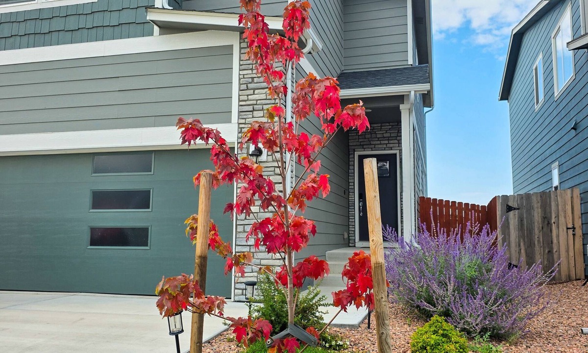 Colorado Springs House | The Hills in Lorson Ranch