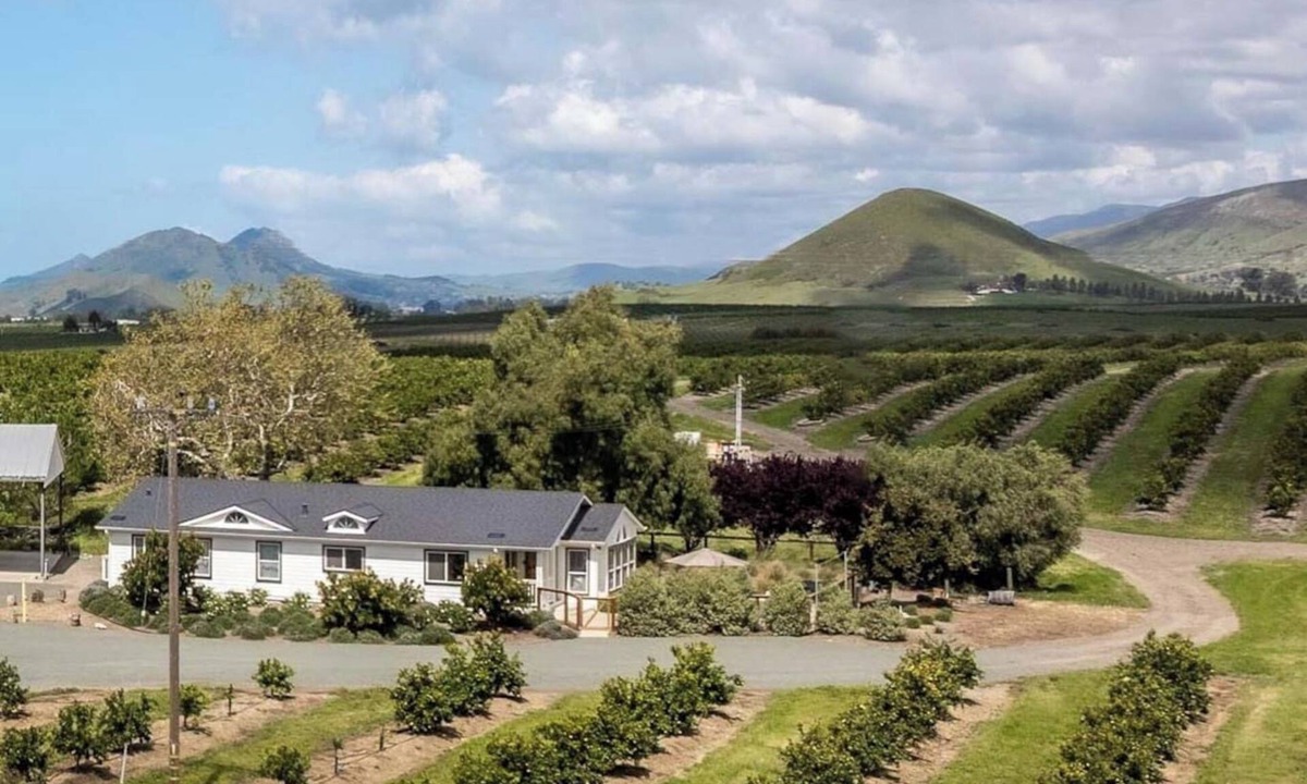 San Luis Obispo House | The Orchard House In Lovely Edna Valley. Sleeps 10