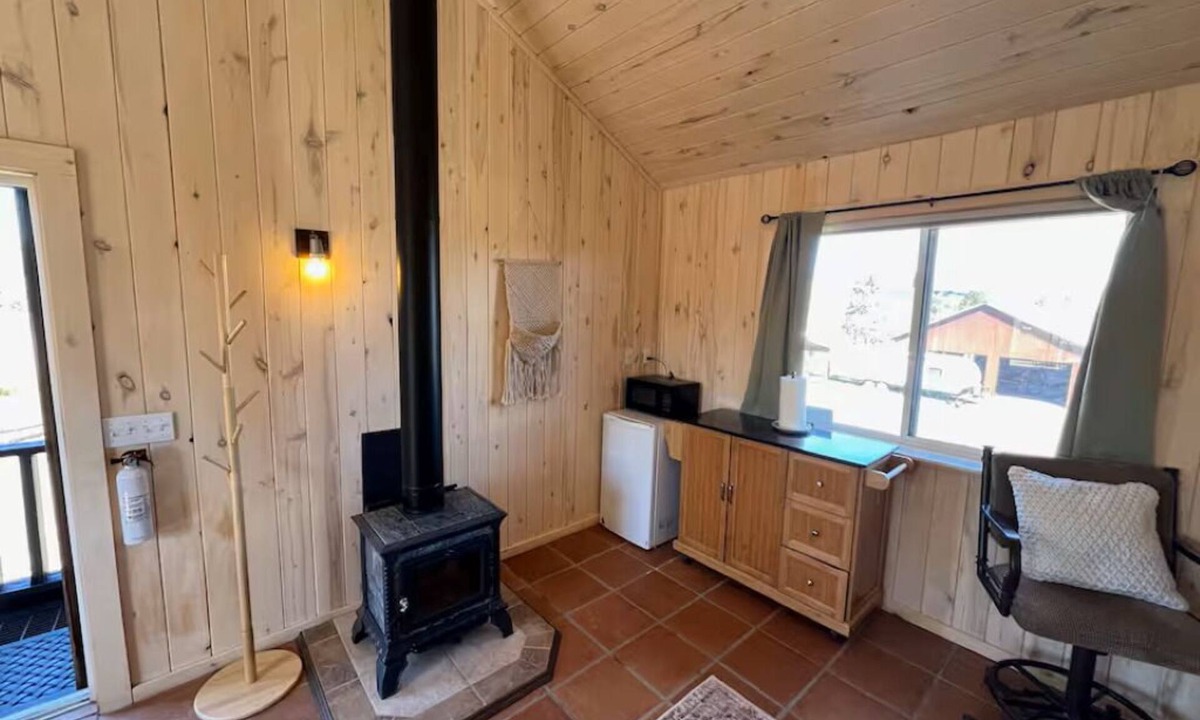Montrose County Cabin | The Treehouse Cabin!