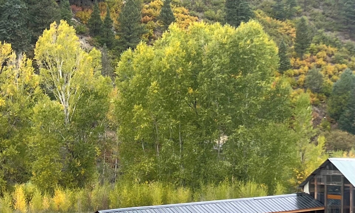 Durango Cabin | Yun-Shui Garden Where Clouds Drift, Water Flows