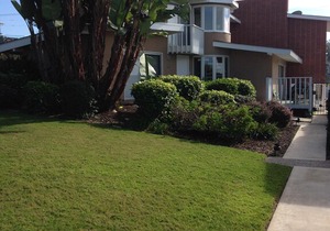 Del Mar Family Vacation Home, Sleeps 8