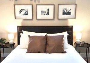 Gorgeous Guest Suite - Walk to Old Town and CSU!