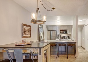 New Remodel! Slope Side Access and Fast WiFi