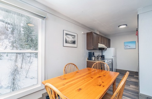 Telluride Condo | 1-Bedroom Pet-Friendly Unit at the Mountainside Inn