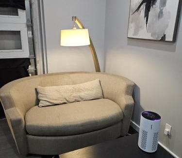 Almont Apartment | 101B New Modern Studio in Maryville