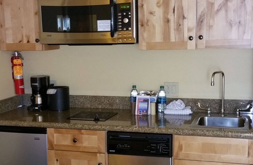 Mount Crested Butte Condo | 205 Base area slope side views Mt. Crested Butte. Pet friendly