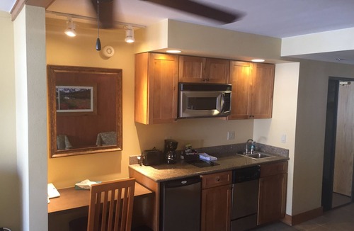 Mount Crested Butte Condo | 205 Base area slope side views Mt. Crested Butte. Pet friendly