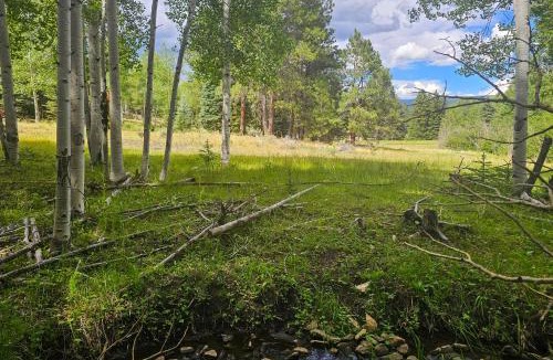Angel Fire Apartment | 3 Mi to Angel Fire Resort! Quaint Apt on 2 Acres