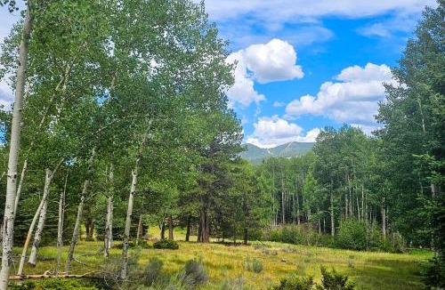 Angel Fire Apartment | 3 Mi to Angel Fire Resort! Quaint Apt on 2 Acres