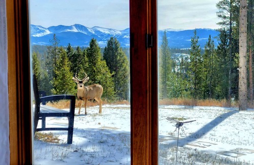 Winter Park Highlands House | ❤️5+1 Bedrooms on 5 Private ACRES! VIEWS😎HOTTUB❤️GAMEROOM! Great Location!