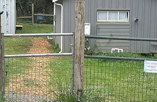 Freshwater Cottage | Above the fog alpaca cottage