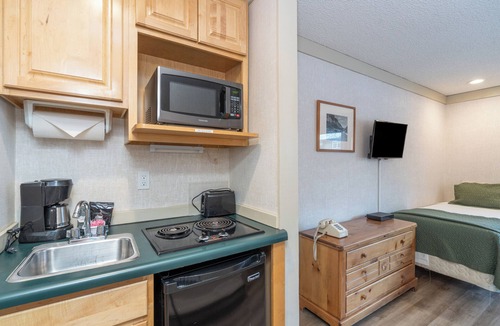 Telluride Hotel | Affordable Pet-Friendly Hotel Room With Great Location