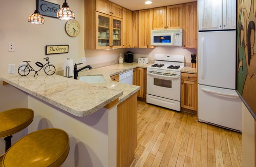 Snowmass Village Condo | Alpine Retreat-Best Pricing Available-Ski-in/Ski-Out Access