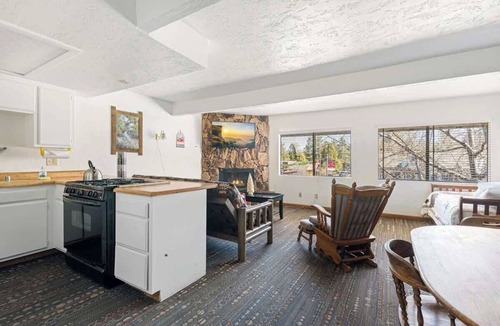 The Village Hotel | American Black Bear. Perfect Location
