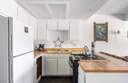 The Village Hotel | American Black Bear. Perfect Location