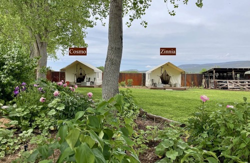 Lazear Cabin | Beautiful Glamping Tent at Zenzen Gardens