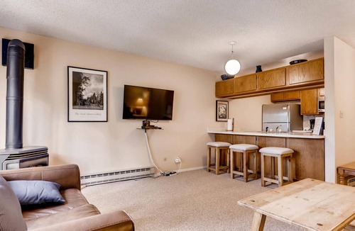 Peak 8 Apartment | Breckenridge 39 - One Bedroom Apartment, Sleeps 4
