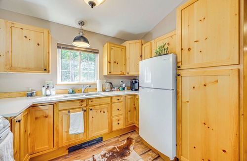 Tarryall Cabin | Cabin in Eleven Mile Village w/Patio & Gas Grill!
