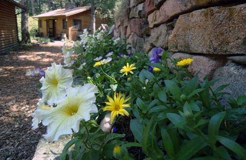 Boulder Cabin | Canyon escape - cabin studio along Boulder Creek with complete kitchen #1